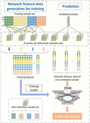 Molecular Subtyping of Cancer Based on Distinguishing Co-Expression Modules and Machine Learning